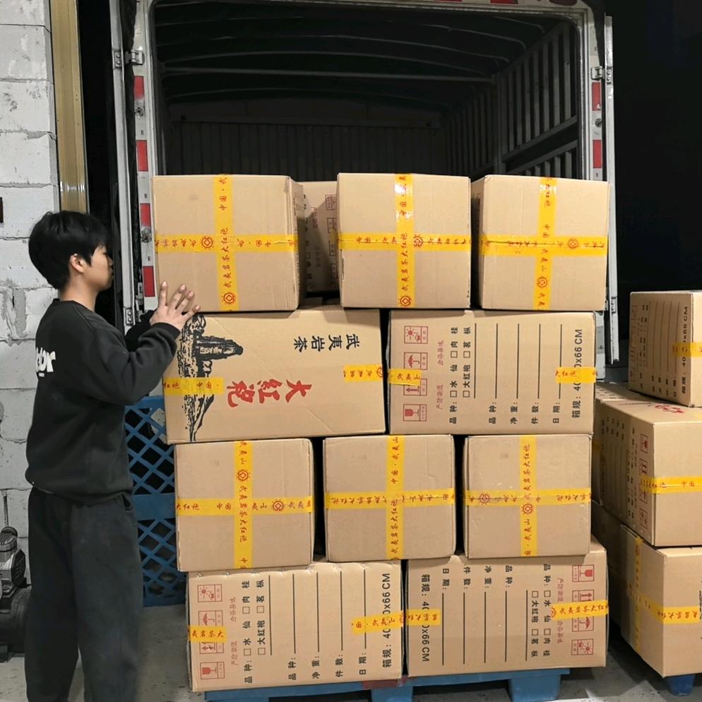 茶圈小牛马