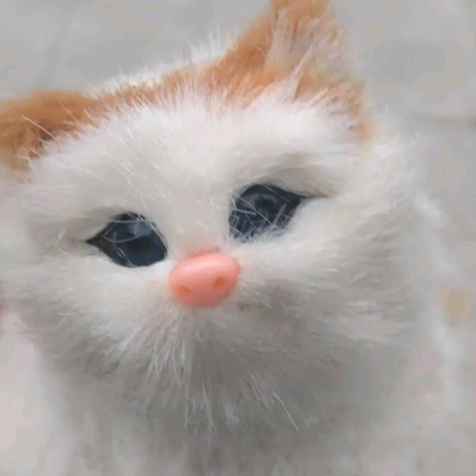 周艳