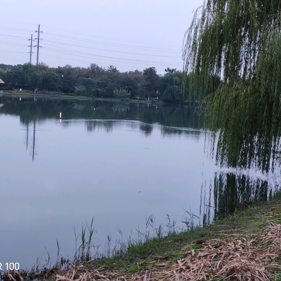 《半百时光碎片复盘》