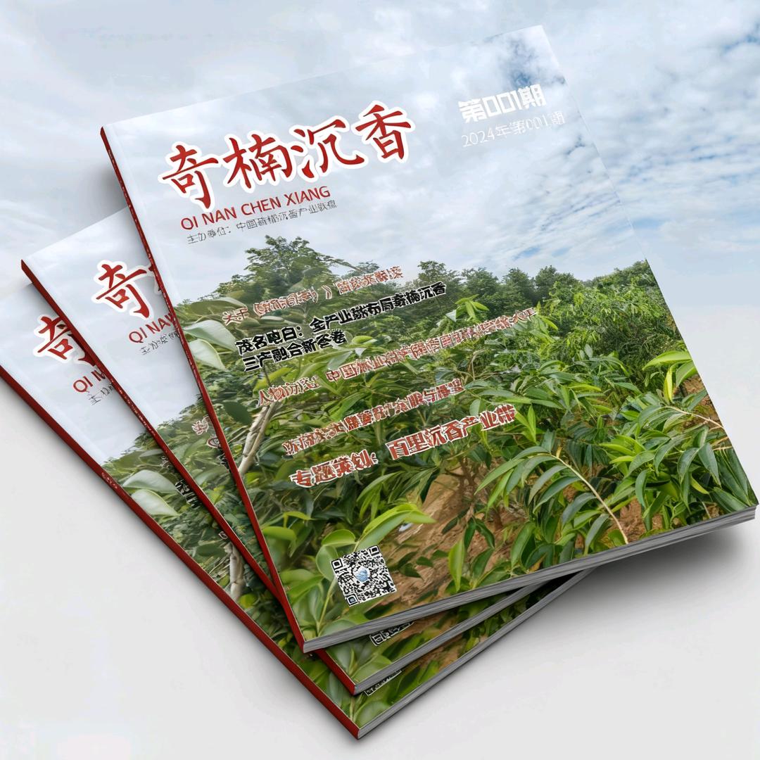 奇楠沉香产业