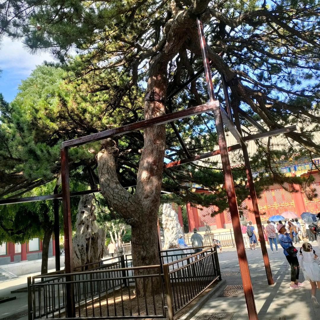小陈哥