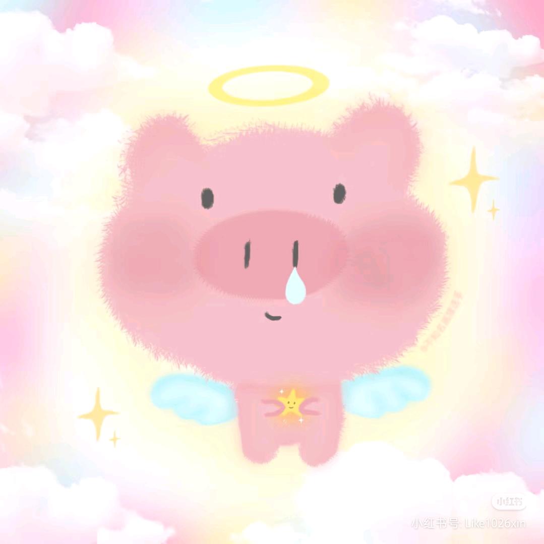 小梁🧸