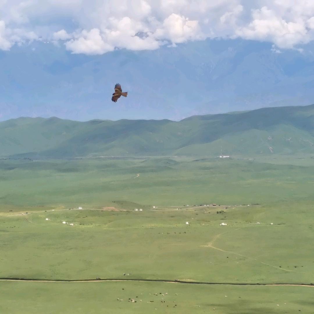 小辉专业解机器码