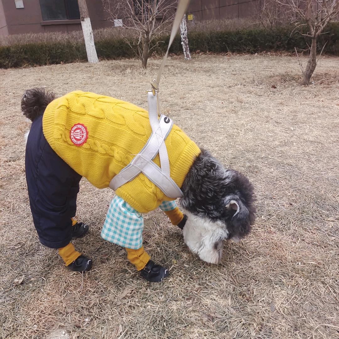 🎈倔驴小九⭐