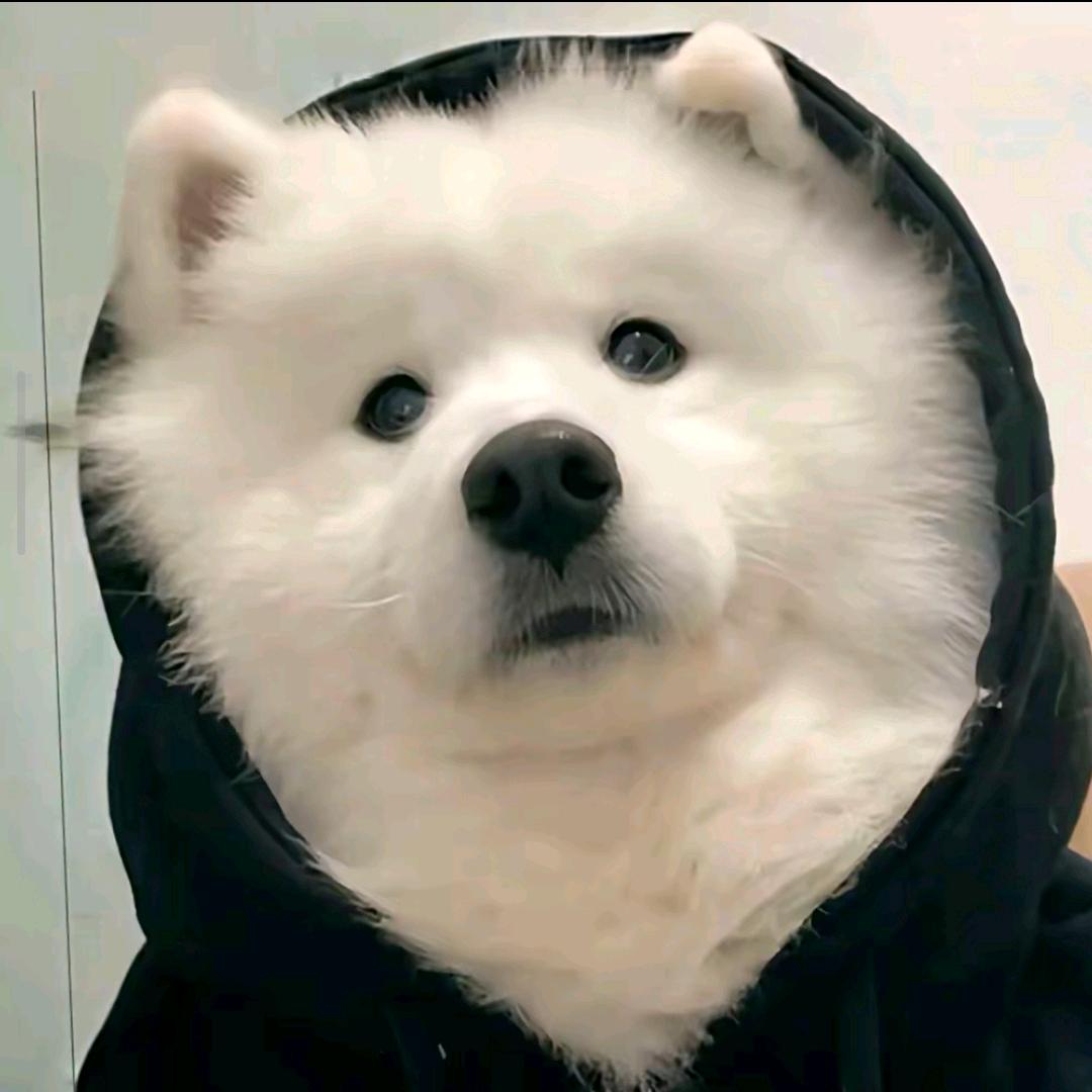 人人爱