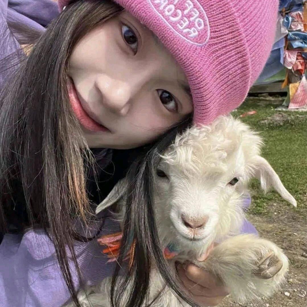 咩咩🐏