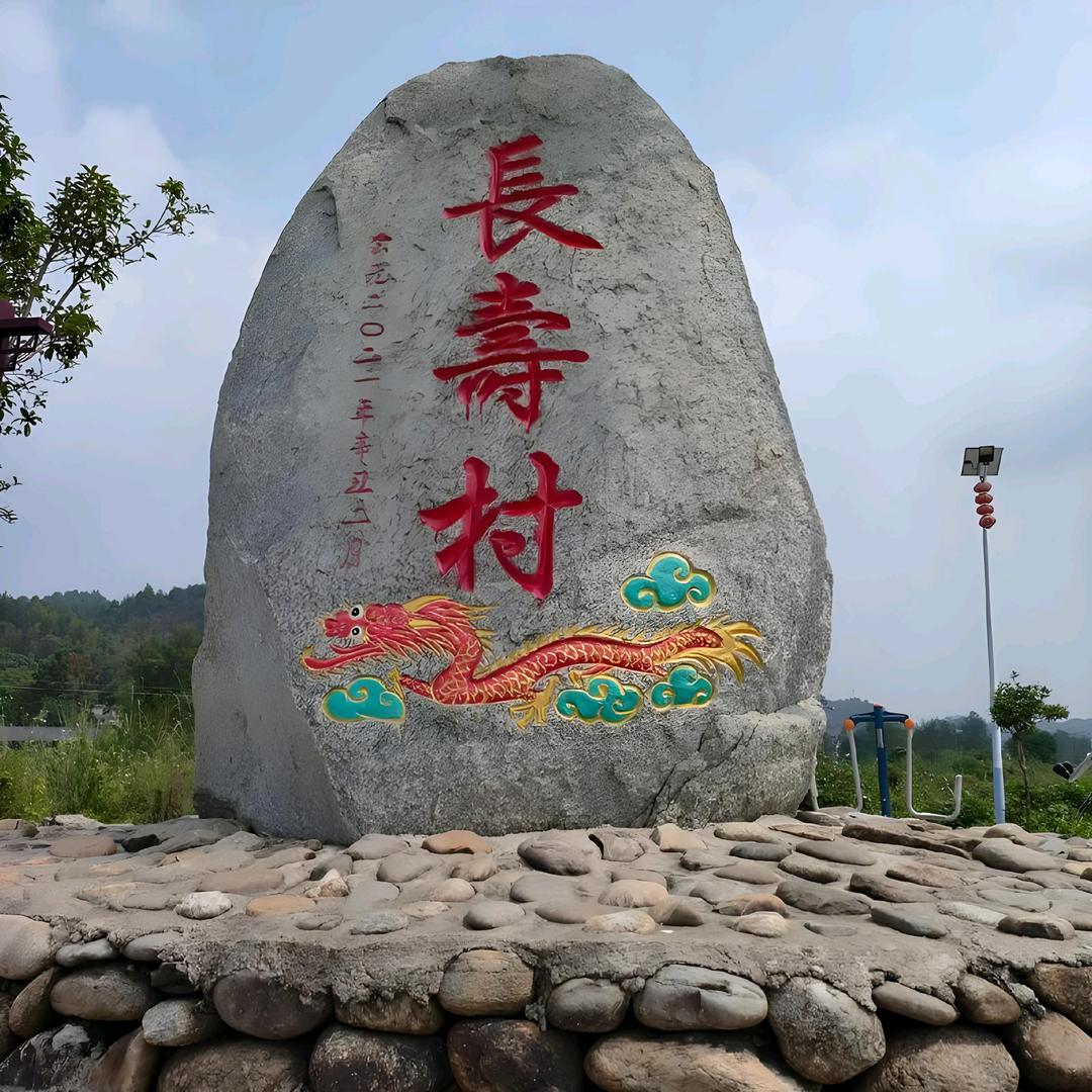 长寿村鱼菜共生