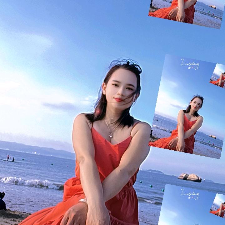 燕子飞