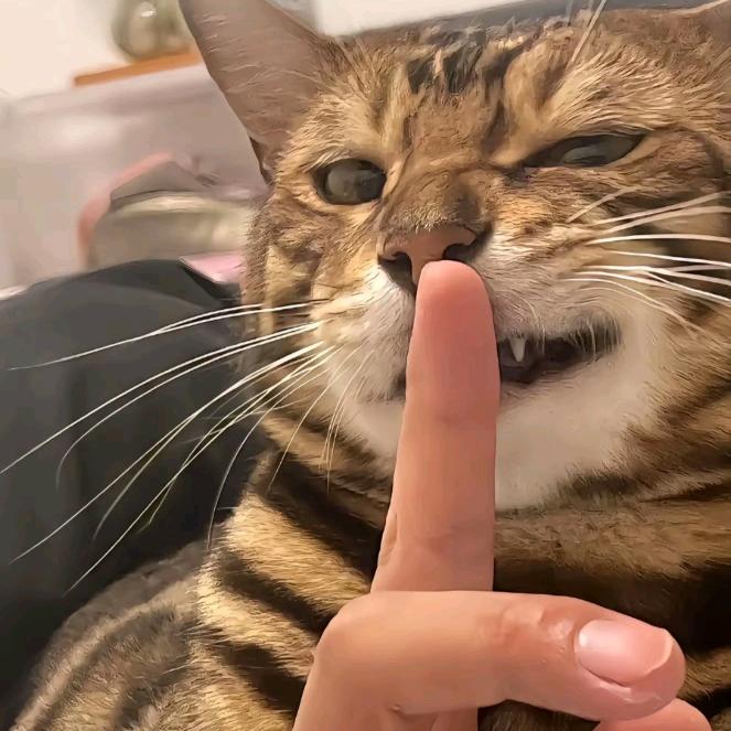 玖哥千川（耿阳）