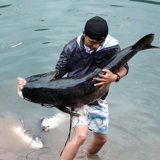 林少野钓（日常）