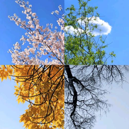 平安喜乐【互关】