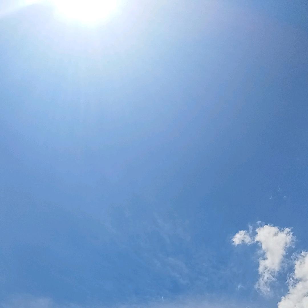 土豆（三角洲行动）