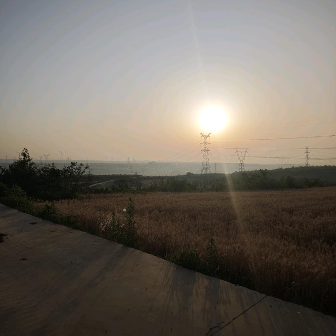 大龙  记录日常