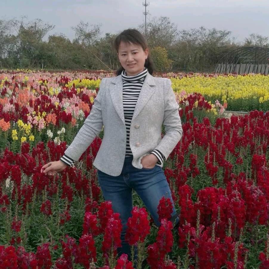 75王姐：花开富贵