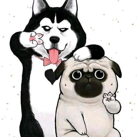 惠州Dj维尼
