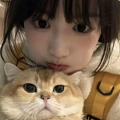 小伊.