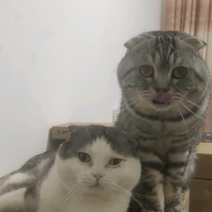 九千七/