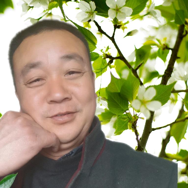 重庆夜不收