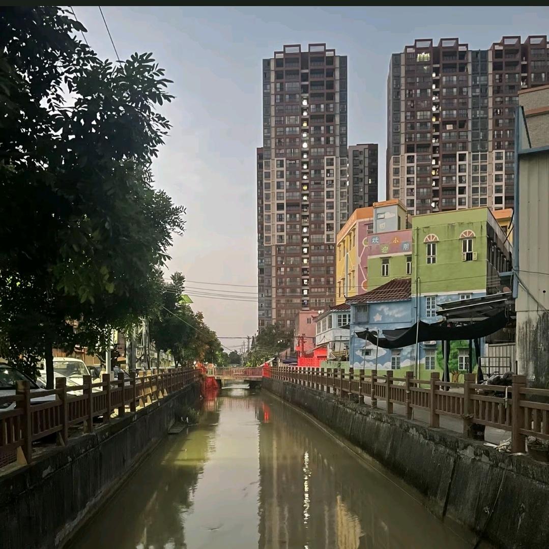 陈金伟