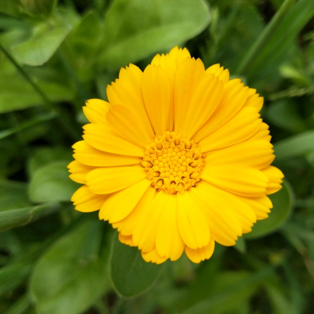 “༺༃洛༒次༃༻”