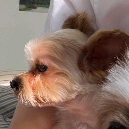 M.s.檀溪（努力进檀健次工作室版）