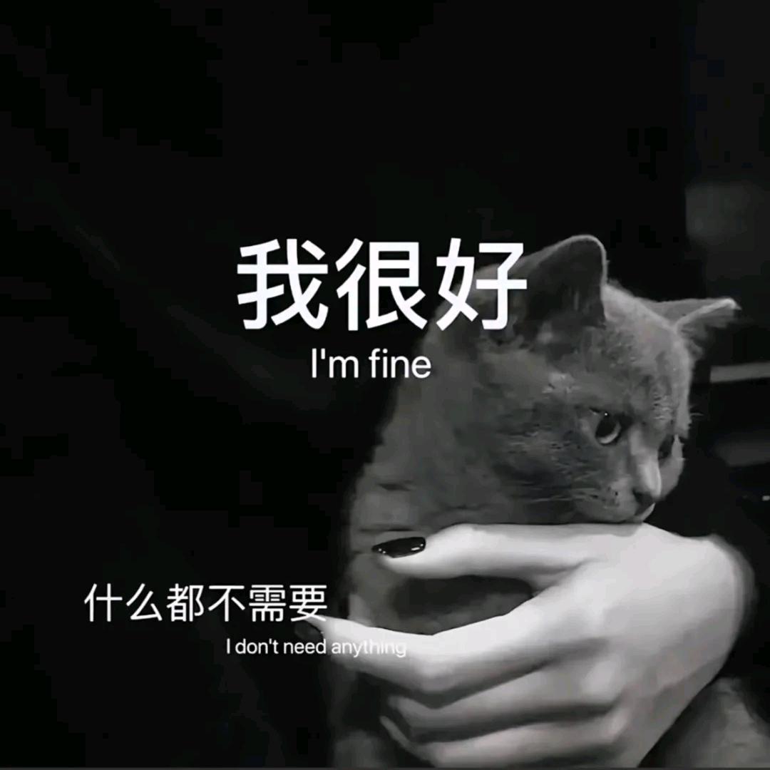 不以物喜不以己悲