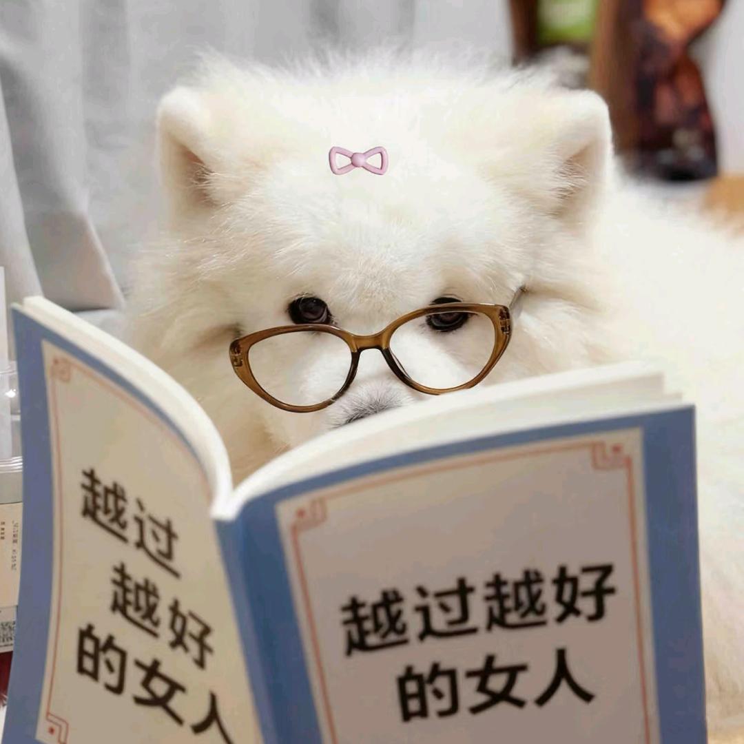 一米五娇羞猛女🦖