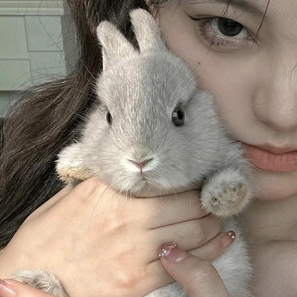 狐狐大睡.（睡不着版）