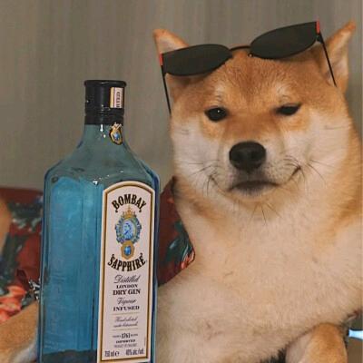 我钥匙哪去了？