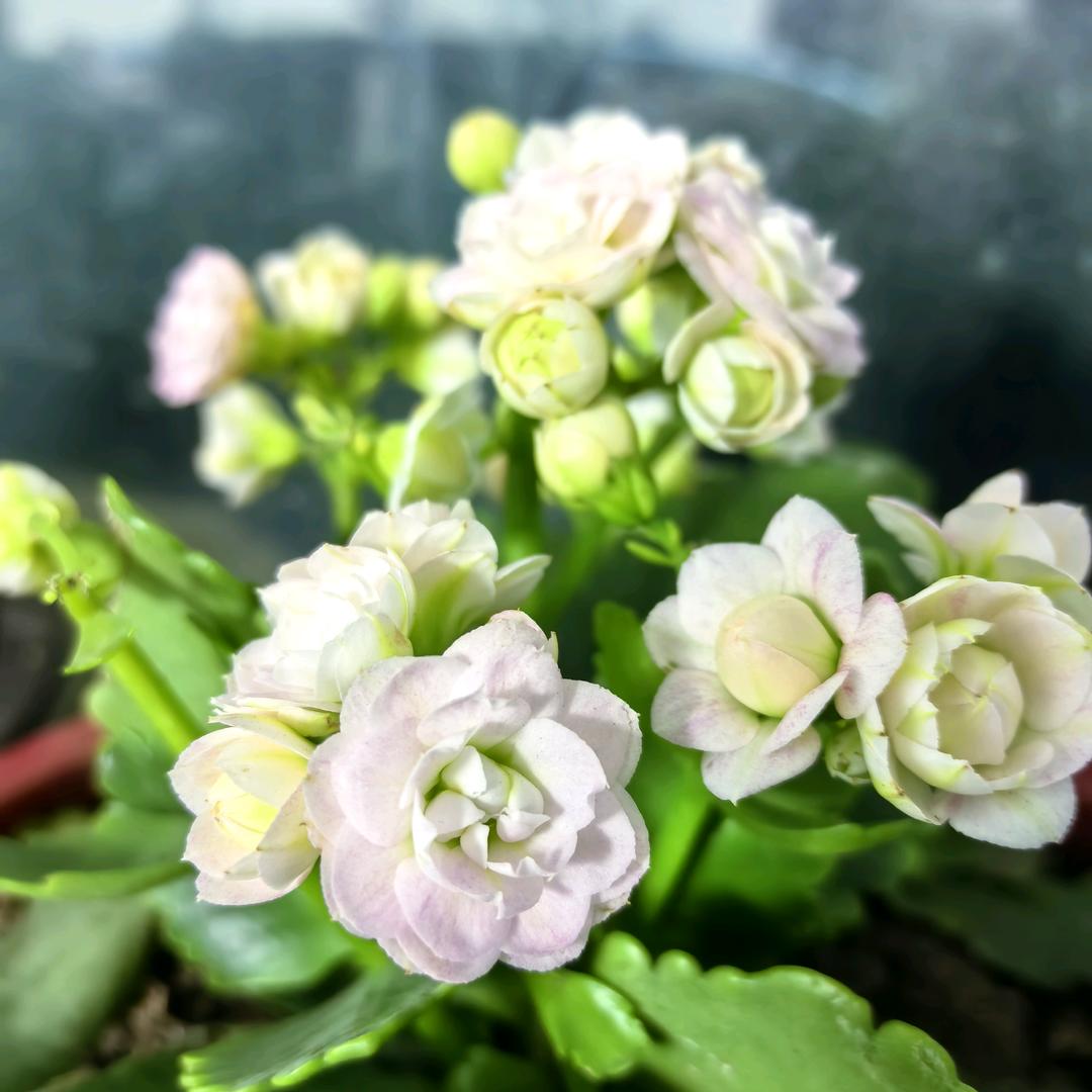 流年，跌碎容颜