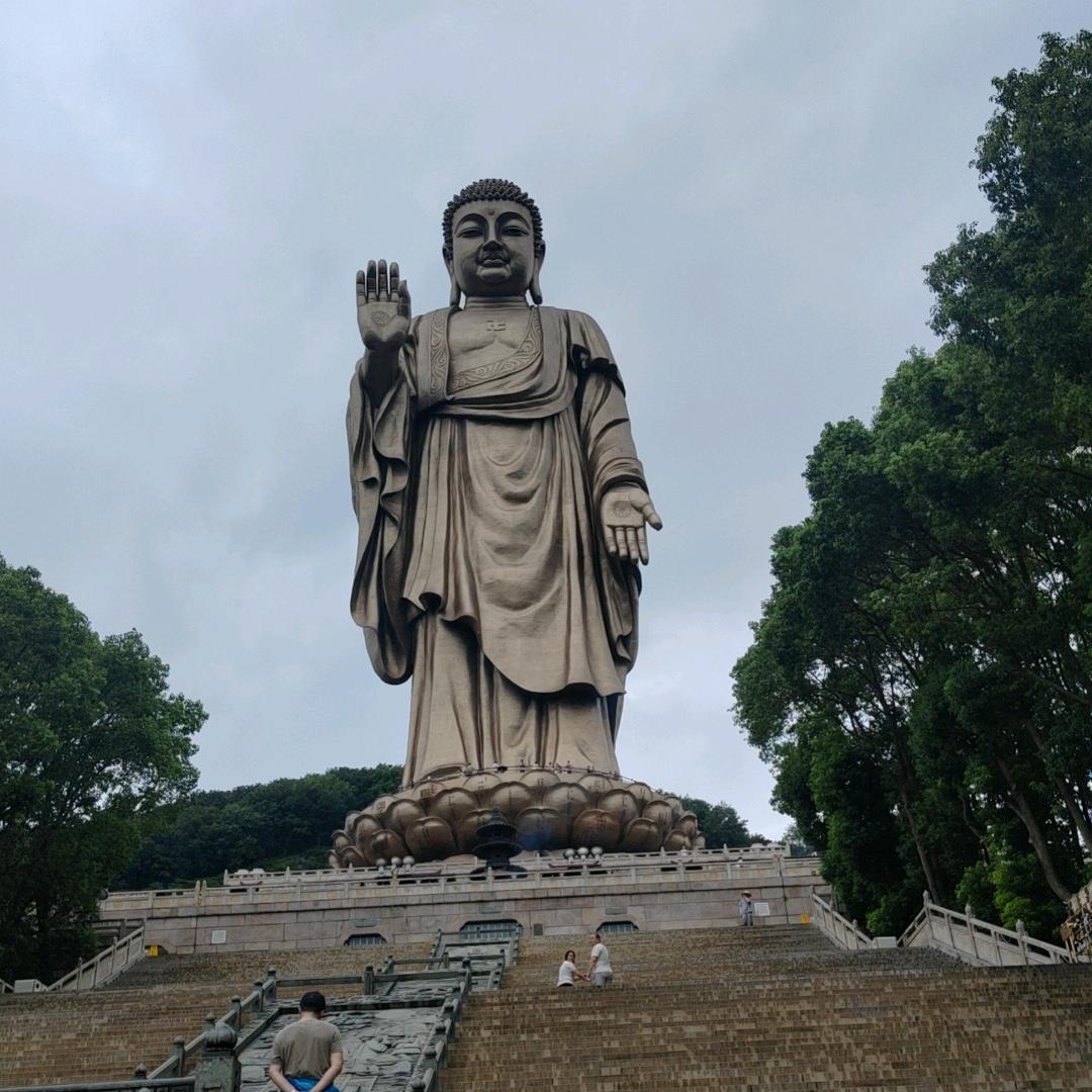 威灵顯應