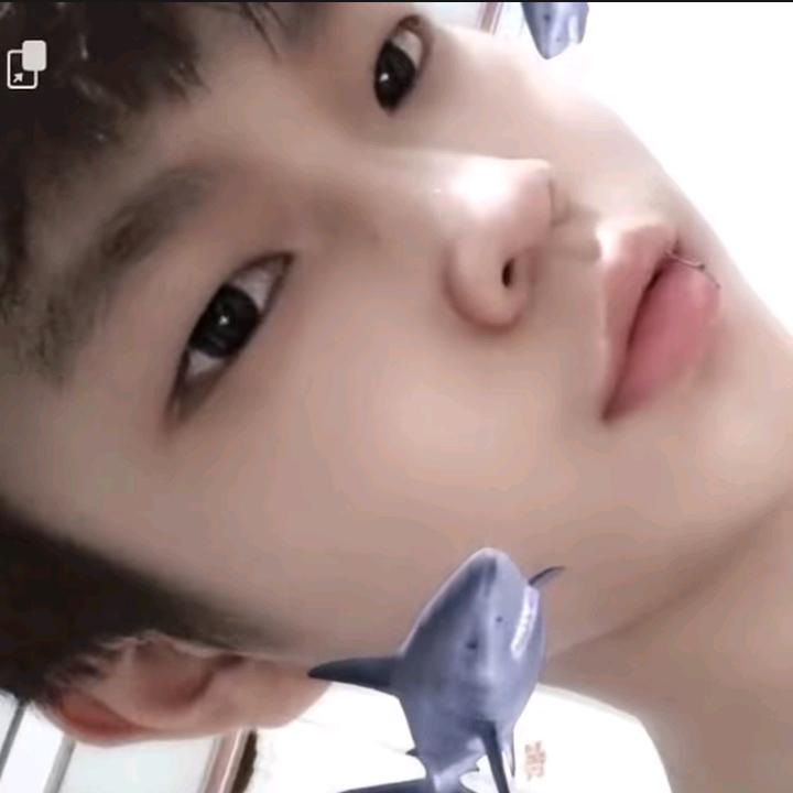 睿宇