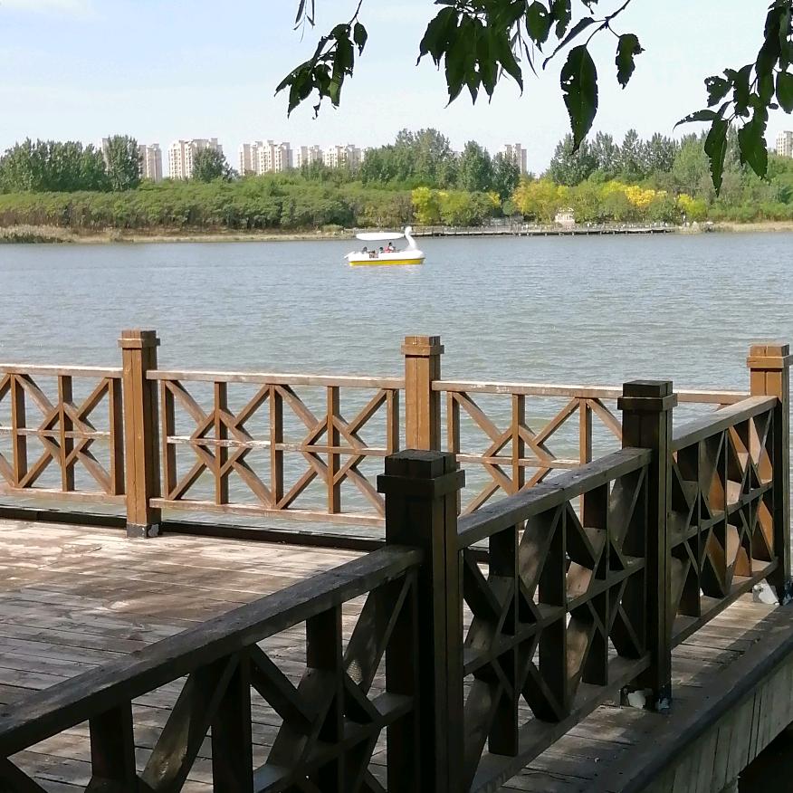 天天乐