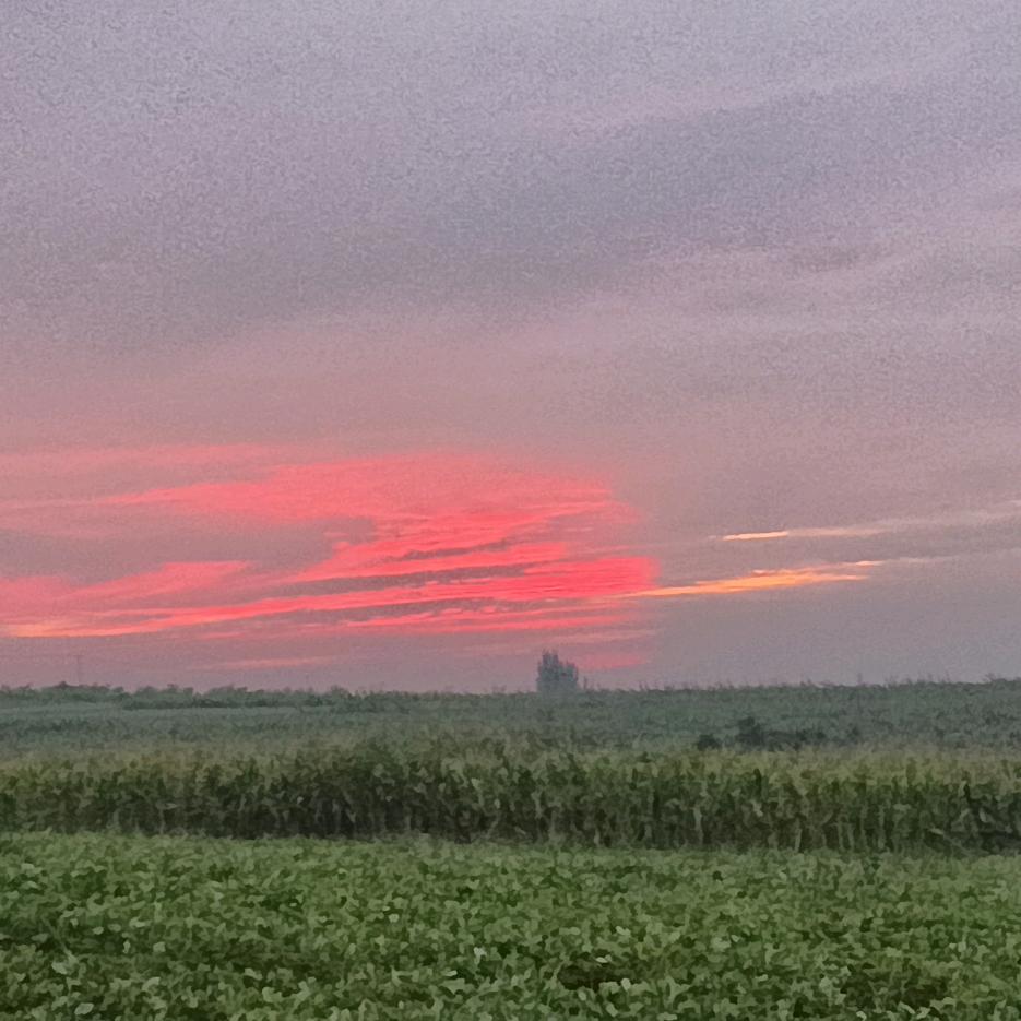 花未全开月未圆