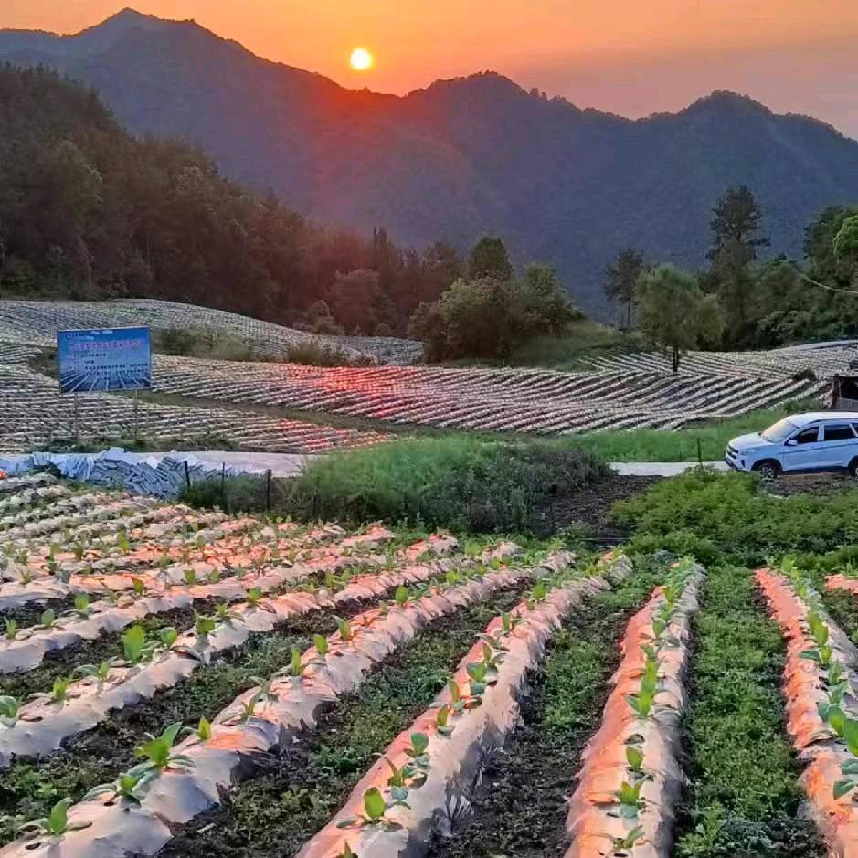 竹山众合农场饶昌福