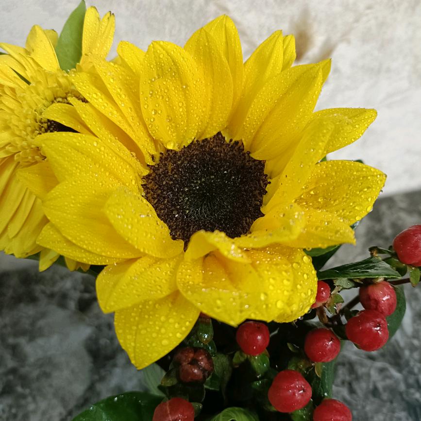 🌾平淡RENSHENG轮回🍁