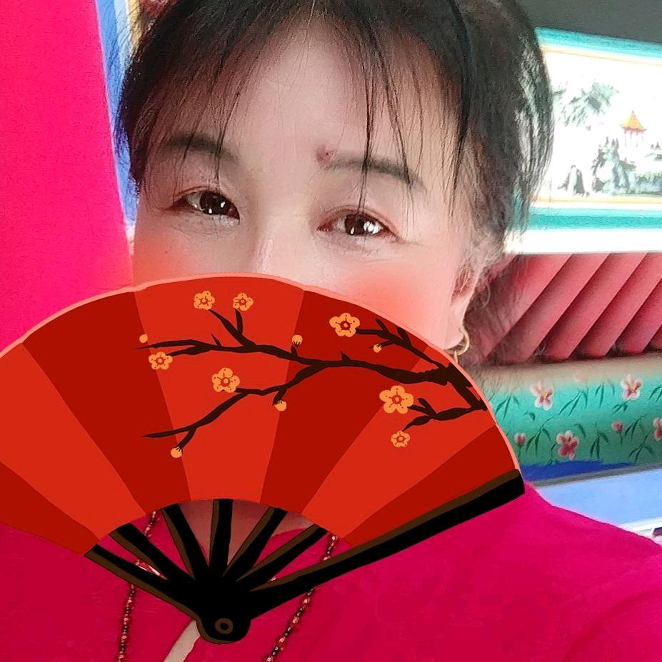 《五寨神医》小仙女