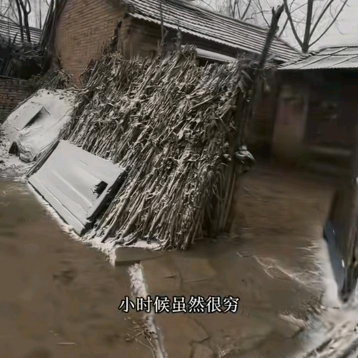 枕头里藏满了_(:з」∠)_发霉的梦