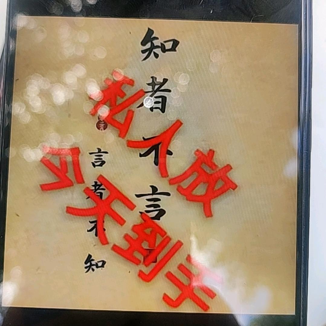 安分守己小青春