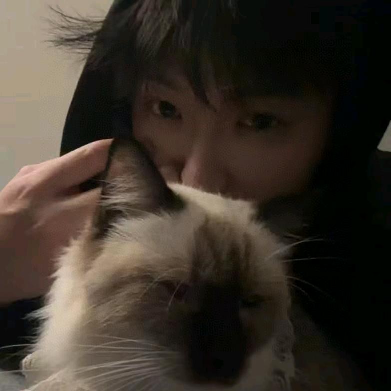 小朱不会踢中后