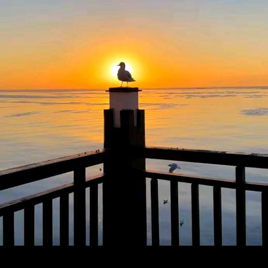 🥀এ᭄ꦿ江湖ོ࿐ᩚ