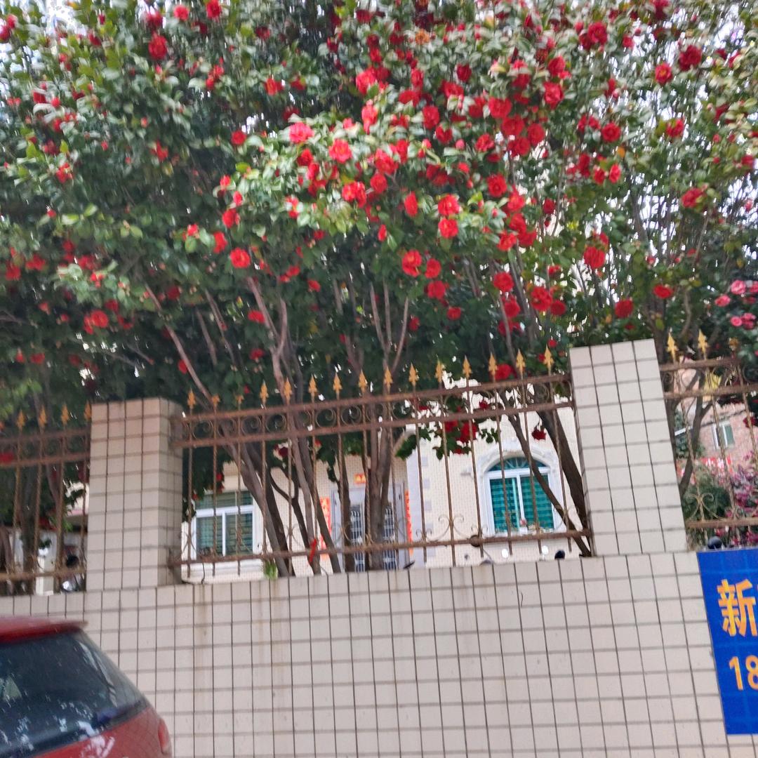 顺其自然