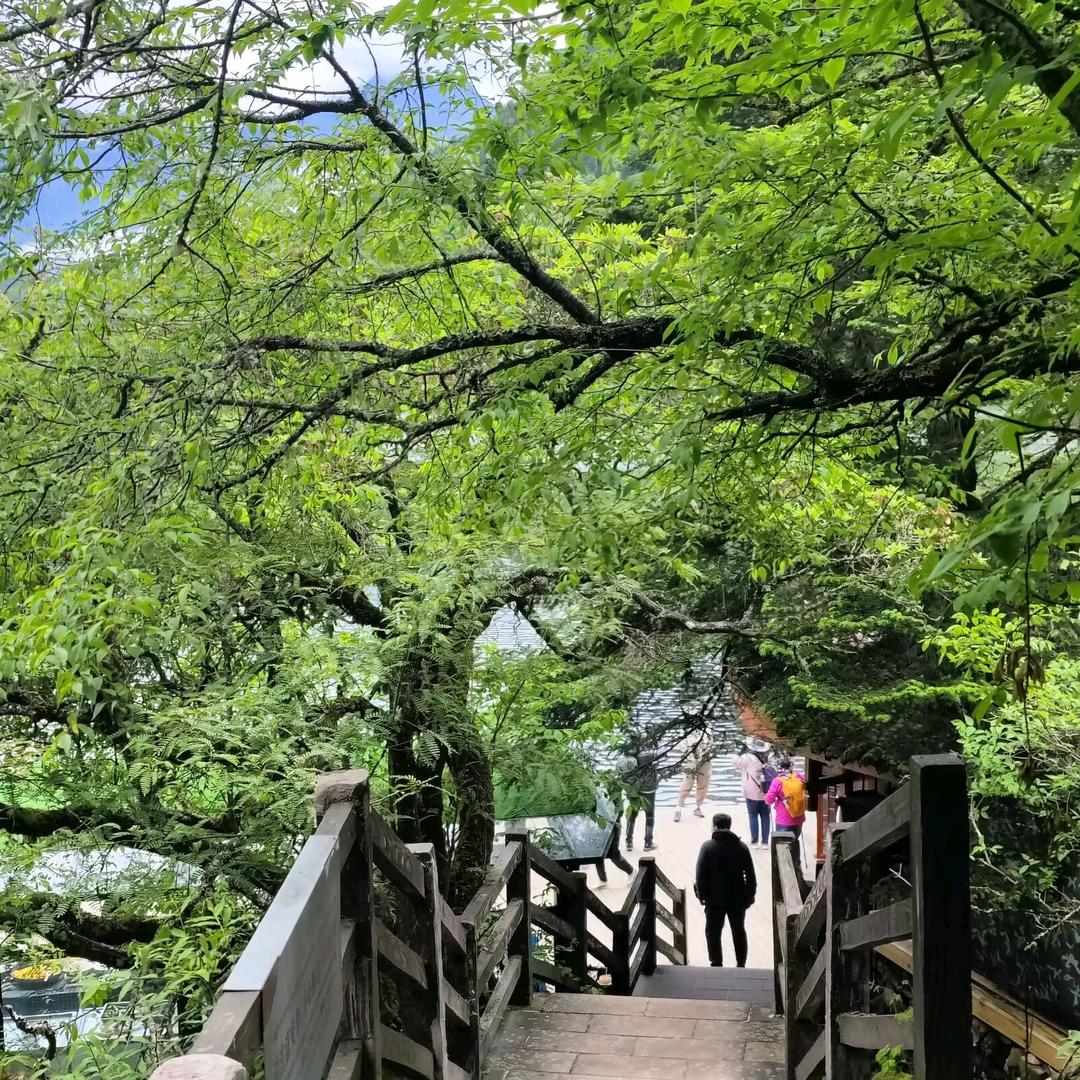 源泉