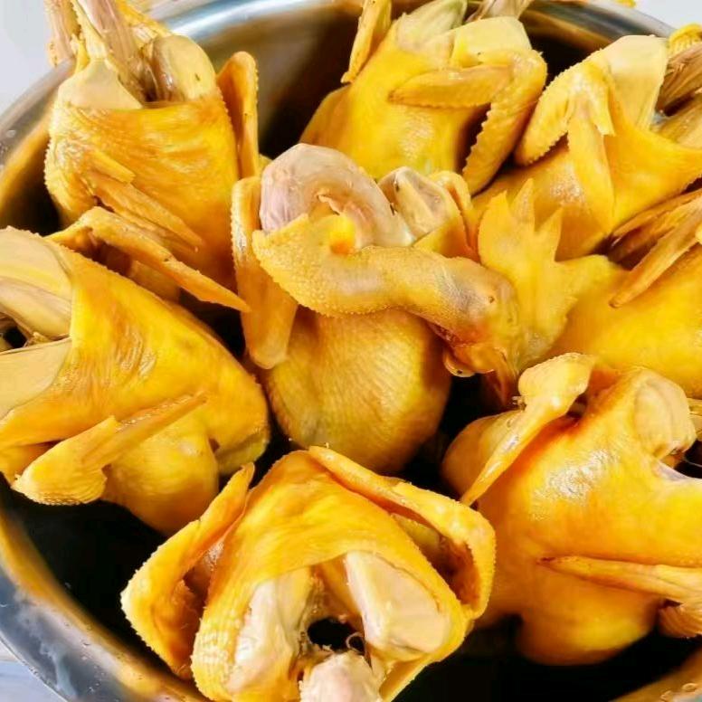 义杰金兰脆皮手撕鸡(翡翠湖店)官方号