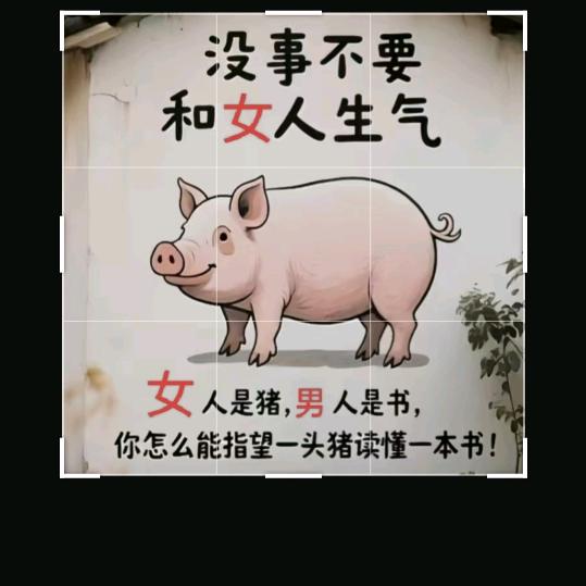 板板皆辛苦