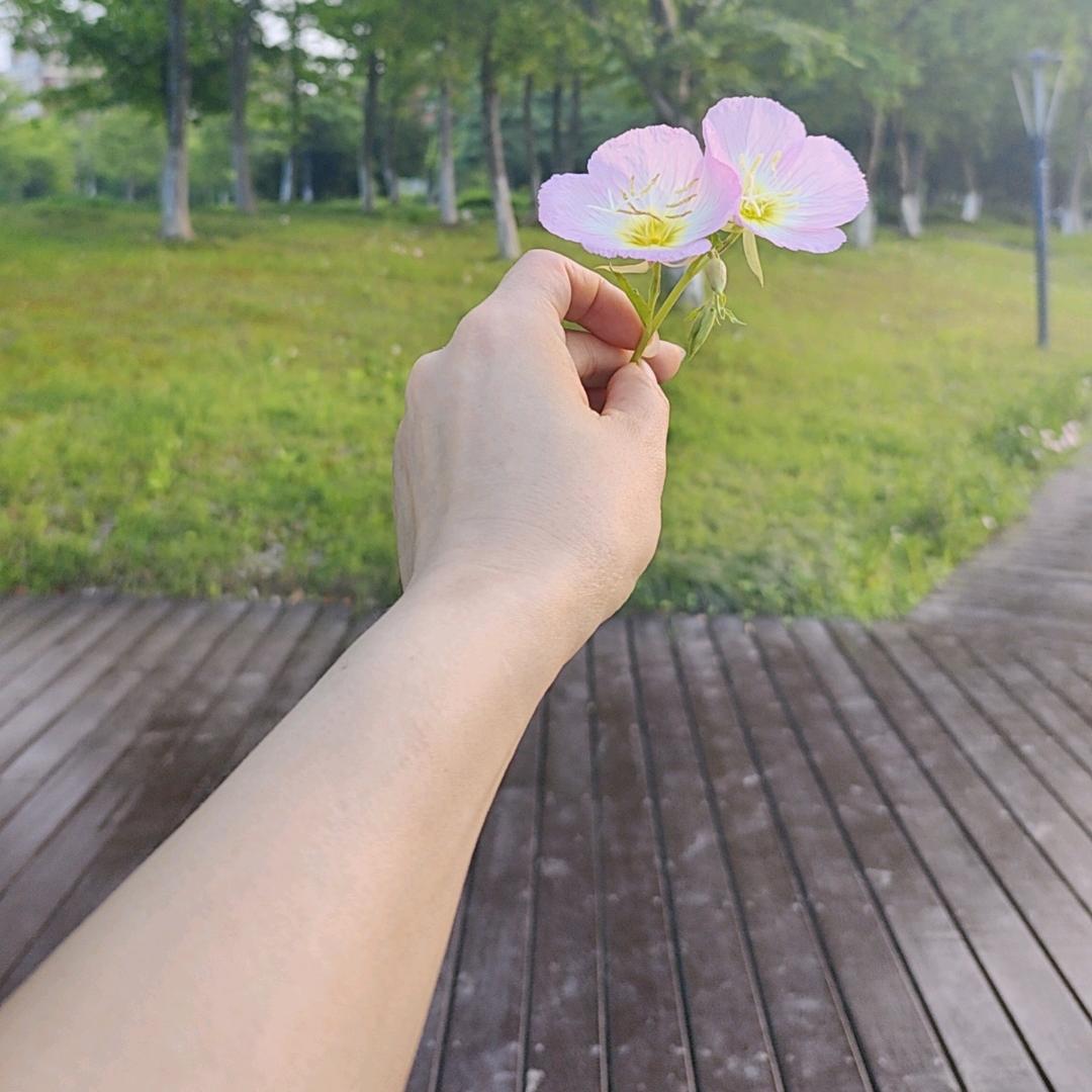 小蓉女@