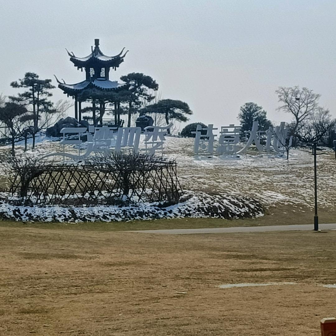 步步为营（废金属回收）