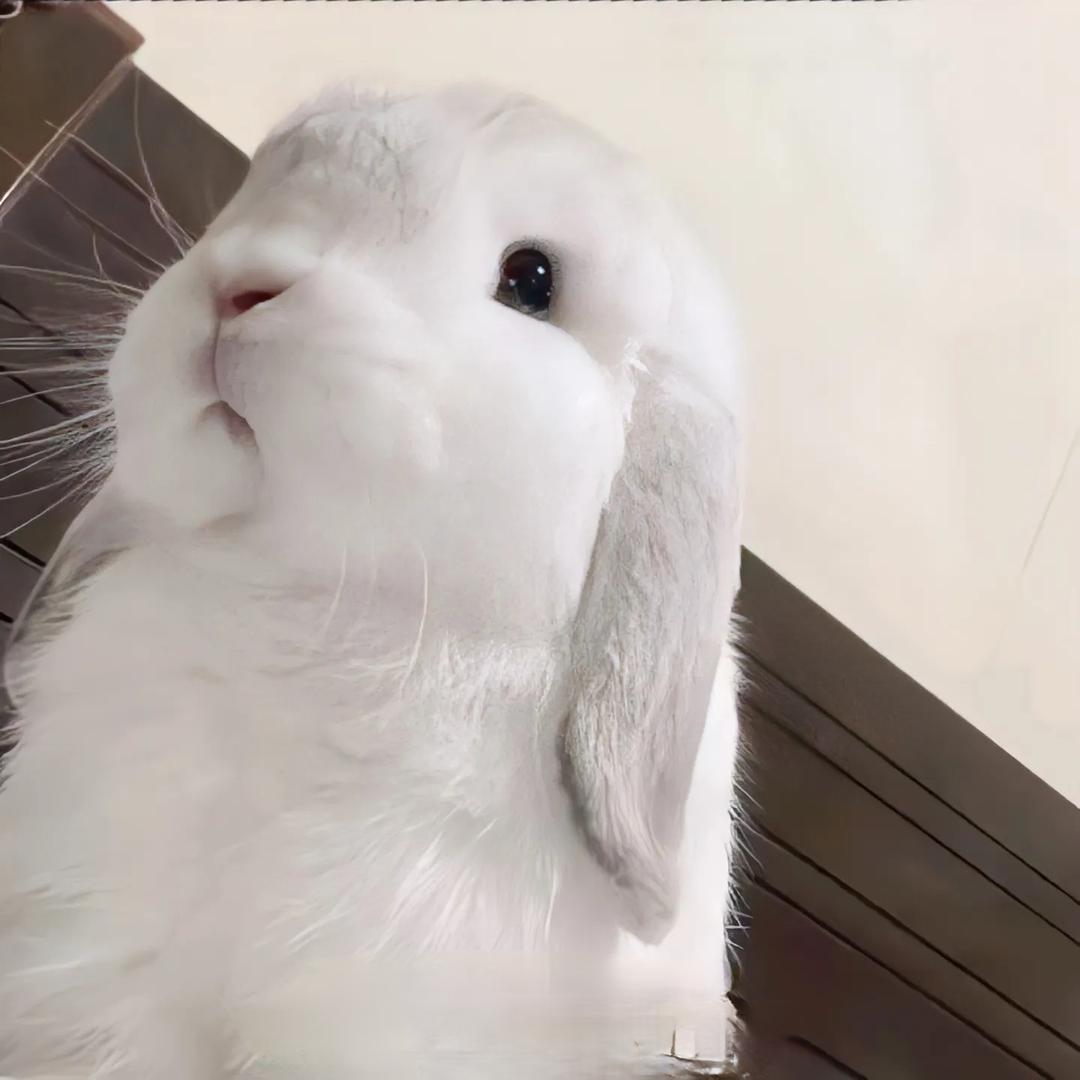 A金