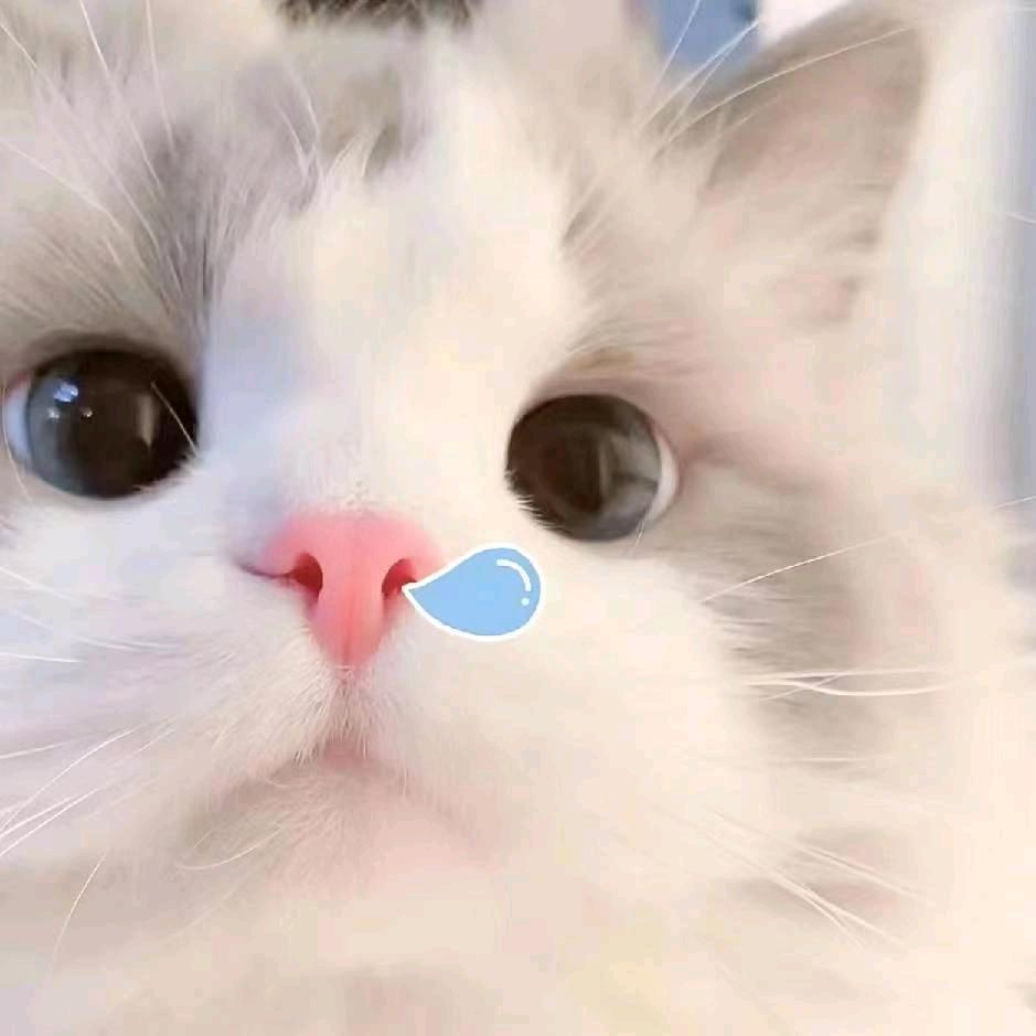 日月