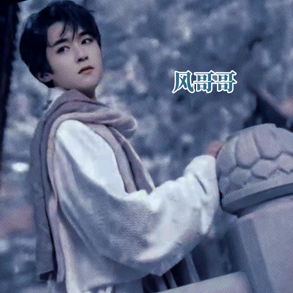 晨风哥⭐️💫